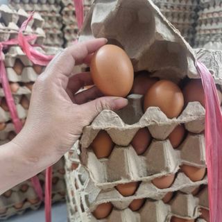 TRỨNG GÀ NƯỚNG – NÓNG HỔI MỖI NGÀY