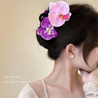 KẸP TÓC LAN HỒ ĐIỆP