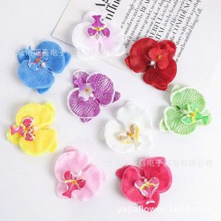 KẸP TÓC LAN HỒ ĐIỆP