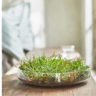 Nến thơm xuất khẩu Ikea