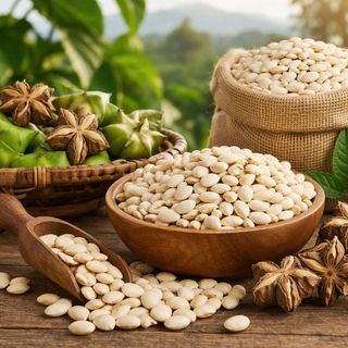 HẠT SACHI - HÀM LƯỢNG VÀ CHẤT LƯỢNG PROTEIN VƯỢT TRỘI