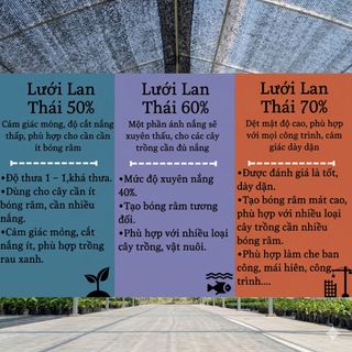 Lưới Lan Che Nắng Cao Cấp 3m x 50m - Độ Che Phủ 50% Giúp Vườn Mát Rượi, Chống Tia UV Cực Tốt