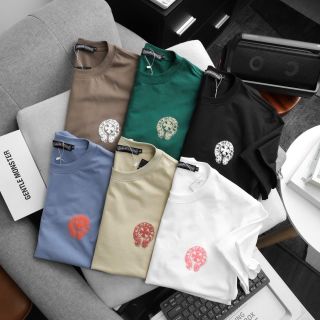 Áo thun nam.  Áo chất cotton 100% 4c cao cấp xịn. Logo in phồng.