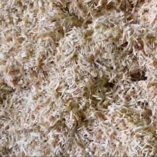 Dăm baò khô từ gỗ  tràm/ cao su 1kg 29k