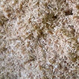 Dăm baò khô từ gỗ  tràm/ cao su 1kg 29k