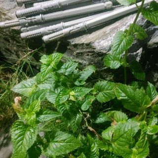 Chốt bắt kệ âm tưòng Ø12 x 120mm - Sản phẩm chất lượng