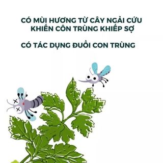 Túi đựng rác Ngải Cứu có dây rút, Chất liệu ngải cứu xua đuổi ruồi muỗi Cao Cấp