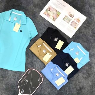 Áo cổ nữ cá sấu sỉ ib