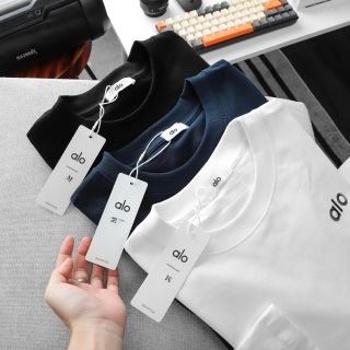 Áo thun tay dài nam. 100% Cotton 2c 280gram, vải đã xử lí co rút, 3 màu basic dễ bán.