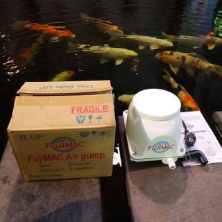 Máy thổi khí Fujimac hồ cá koi chính hãng Nhật Bản