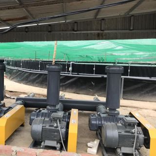 Máy thổi khí Longtech Đài Loan chính hãng giá tốt tại Việt Nam