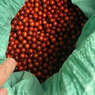 1kg hạt gỗ hương đỏ sâu hạt sâu mành rèm phòng thờ