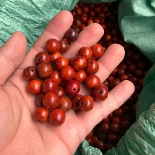 1kg hạt gỗ hương đỏ sâu hạt sâu mành rèm phòng thờ