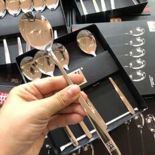 SET 5 MUỖNG INOX ZWILLING KIỂU DÀI (T100)