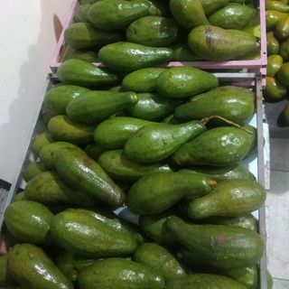 BƠ NĂM LÓNG SIZE 2-3 TRÁI/KG