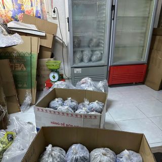 Nấm mối đen tươi