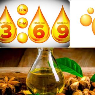 Dầu Sachi - Cung cấp các chất dinh dưỡng Omega 3-6-9