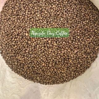 Cà phê nhân xanh Robusta honey s14