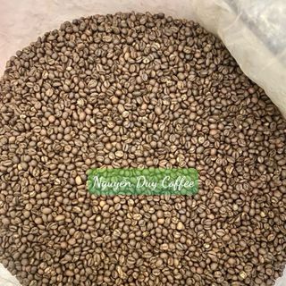 Cà phê nhân xanh Robusta honey s14