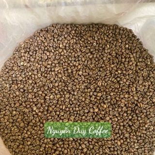 Cà phê nhân xanh Robusta honey s14