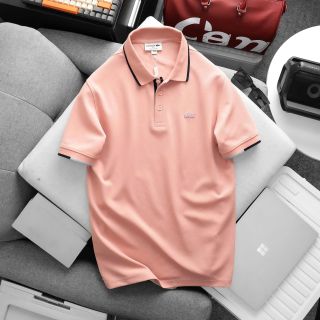 POLO NAM Full 4 Colors.   Chất liệu vải COTTON Pique dư hãng xịn.