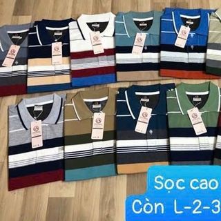 Áo tru soc trung niên cao