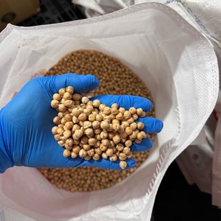 ĐẬU GÀ TRẮNG (CHICKENPEAS) – NGUỒN ĐẠM THỰC VẬT LÀNH MẠNH