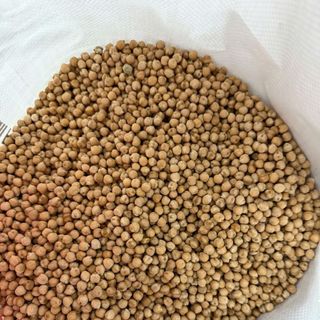ĐẬU GÀ TRẮNG (CHICKENPEAS) – NGUỒN ĐẠM THỰC VẬT LÀNH MẠNH
