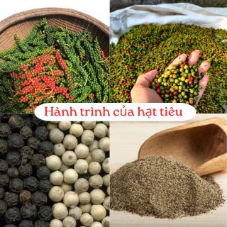 Tiêu đen xay nguyên chất – gia vị tự nhiên chuẩn vị Thơm nồng đặc trưng, cay ấm hài hòa, làm dậy vị mọi món ăn. Phù hợp tẩm ướp và nêm nếm, giữ trọn hương vị nguyên bản.