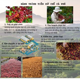 MIAKA - Cà phê Robusta Honey 100% nguyên chất – rang mộc chuẩn vị. Đắng dịu, hậu ngọt dịu, hương thơm nồng nàn lan tỏa Phù hợp pha phin truyền thống hoặc pha máy, giữ trọn chất cà phê thật .