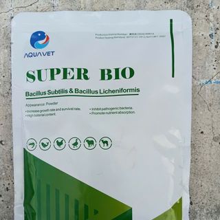 SUPER BIO – Men Vi Sinh Đường Ruột, Xử Lý Nước Ao Nuôi Thủy Sản Hiệu Quả