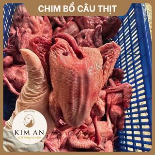 Sỉ chim bồ câu thịt - Trứng Chim Kim An