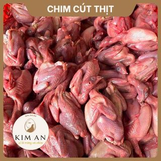 Chim cút thịt - Trứng Chim Kim An