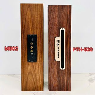 Loa Bluetooth PTH-520