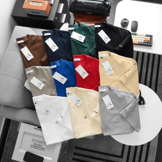 Áo thun nam.  Áo chất vải cotton 2 chiều xịn mịn.