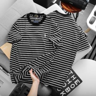 Áo Polo sọc.  Chất liệu cotton dệt xịn.