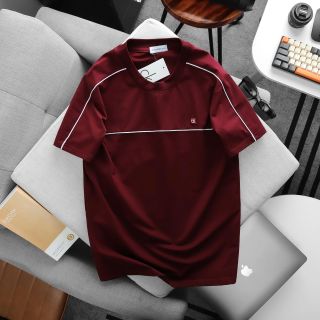 Áo thun nam. Cotton 4 chiều xịn, sờ vào là thích. Bo rip đồng màu, thiết kế basic.