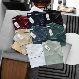 Áo thun nam. Cotton 4 chiều xịn, sờ vào là thích. Bo rip đồng màu, thiết kế basic.