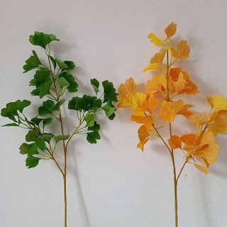 Cành lá bạch quả rẽ quạt 75cm nhiều lá dùng trong trang trí nhà cửa kèm điểm là cây chưng bình decor tiểu cảnh