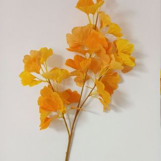 Cành lá bạch quả rẽ quạt 75cm nhiều lá dùng trong trang trí nhà cửa kèm điểm là cây chưng bình decor tiểu cảnh