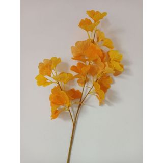 Cành lá bạch quả rẽ quạt 75cm nhiều lá dùng trong trang trí nhà cửa kèm điểm là cây chưng bình decor tiểu cảnh