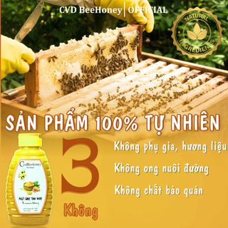 Mật ong nguyên chất Tinh Bột Nghệ, mật ong tự nhiên, hỗ trợ dạ dày, đại tràng, mật ong CvdBeehoney