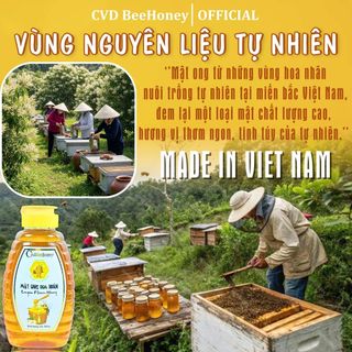 Mật ong nguyên chất hoa Nhãn, mật ong tự nhiên, tăng sức đề kháng, giảm ho, mật ong CvdBeehoney 1000g