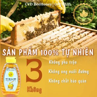Mật ong nguyên chất hoa Nhãn, mật ong tự nhiên, tăng sức đề kháng, giảm ho, mật ong CvdBeehoney 1000g