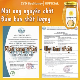 Hũ Mật ong Cao Cấp Hoa Rừng Nguyên Chất, Tăng Đề Kháng, Phục Hồi Sức Khỏe, Đẹp Da CVDBEEHONEY 500g