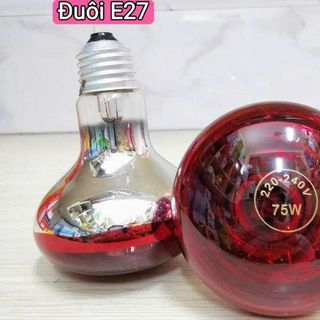 BÓNG ĐÈN HỒNG NGOẠI SƯỞI GÀ 75W ĐUI E27