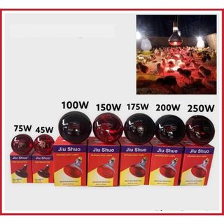 BÓNG ĐÈN HỒNG NGOẠI SƯỞI GÀ 75W ĐUI E27