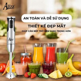 MÁY XAY CẦM TAY ĐA NĂNG 300W ALIZZ AL-8010A