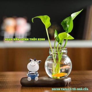 Sét Thú Cưng Bò Sữa, Ếch, Cô Giáo Cừu,Heo, Ngựa Vằn Kèm Bình Thủy Sinh – Trang Trí Bàn Học, Bàn Làm Việc, Taplo Ô Tô