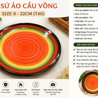 ĐĨA SỨ ẢO CẦU VÒNG SIZE 9 - 22CM (T40)